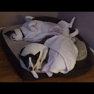 Meet your Posher, Rachel